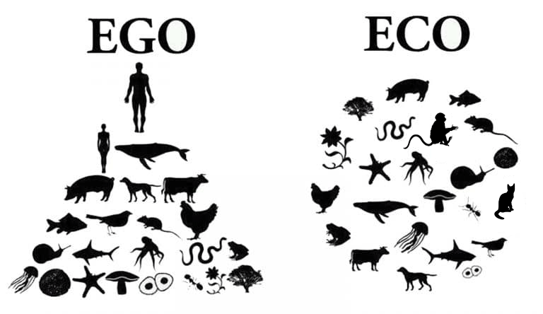 Ein Ego sieht sich oft auf der Spitze der Lebenspyramide. Die Ökologie selbst, sieht allerdings alles Leben irgendwie nur nebeneinander.